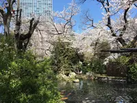 愛宕神社の写真・動画_image_543523
