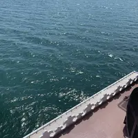 ミシガンクルーズの写真・動画_image_546013
