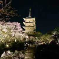 東寺（教王護国寺）の写真・動画_image_546390