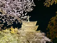 東寺（教王護国寺）の写真・動画_image_546392
