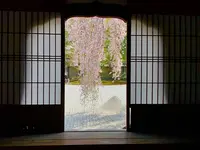 高台寺の写真・動画_image_546394