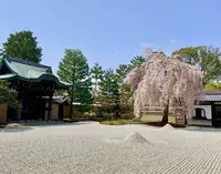 高台寺の写真・動画_image_546396