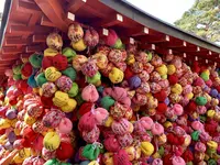 八坂庚申堂の写真・動画_image_546399