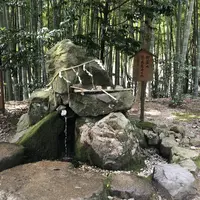 真名井神社の写真・動画_image_546480