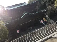 金刀比羅宮（こんぴらさん）の写真・動画_image_546778