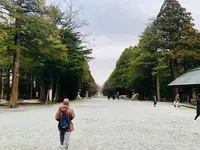 北海道神宮の写真・動画_image_547643