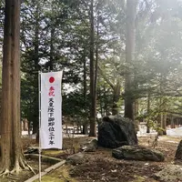 北海道神宮の写真・動画_image_547644