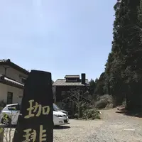 どんぐり11の写真・動画_image_548925