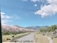 秦野市カルチャーパーク 第６駐車場の写真・動画_image_549731
