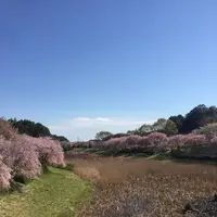 常陸風土記の丘の写真・動画_image_550273