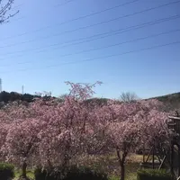 常陸風土記の丘の写真・動画_image_550275