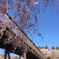 常陸風土記の丘の写真・動画_image_550276