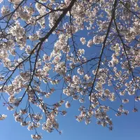 常陸風土記の丘の写真・動画_image_550277