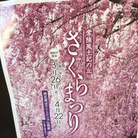 常陸風土記の丘の写真・動画_image_550278