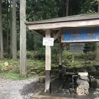 桃源清水の写真・動画_image_551868