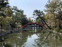 住吉大社の写真・動画_image_552054