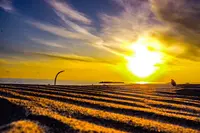 中田島砂丘の写真・動画_image_552183