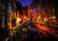 ペリーロードの写真・動画_image_552196