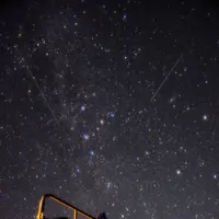美し森の写真・動画_image_552200