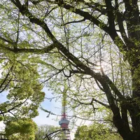 芝公園の写真・動画_image_552561