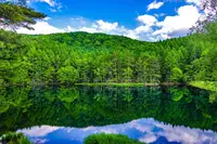 御射鹿池の写真・動画_image_552676