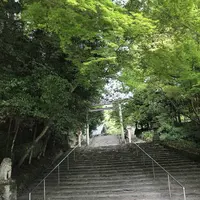 山口大神宮の写真・動画_image_553259