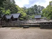 山口大神宮の写真・動画_image_553261