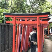 根津神社の写真・動画_image_554007