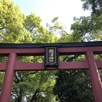 根津神社の写真・動画_image_554011