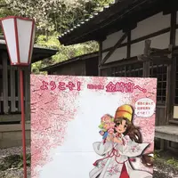 金崎宮の写真・動画_image_554184