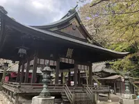 金崎宮の写真・動画_image_554185