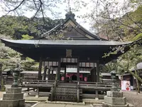 金崎宮の写真・動画_image_554186
