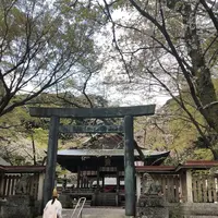 金崎宮の写真・動画_image_554187