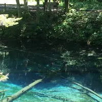 神の子池の写真・動画_image_554406