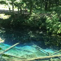 神の子池の写真・動画_image_554407