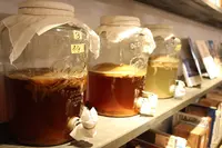 HOUSE YUIGAHAMAの写真・動画_image_554495