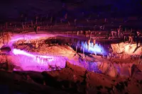 面不動鍾乳洞の写真・動画_image_555044