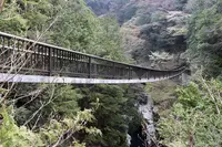みたらい渓谷の写真・動画_image_555064
