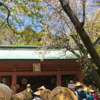 根香寺の写真・動画_image_555069