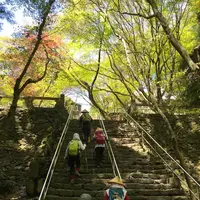 根香寺の写真・動画_image_555071