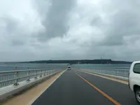 伊良部島の写真・動画_image_556821