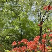 天覧山の写真・動画_image_557280