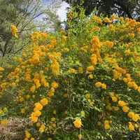 天覧山の写真・動画_image_557298