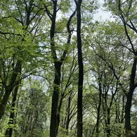 天覧山の写真・動画_image_557299