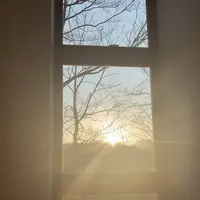 ホテルブレストンコートの写真・動画_image_557402