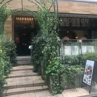 マディソン ニューヨーク キッチン （MADISON NEW YORK KITCHEN）の写真・動画_image_557495