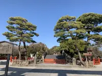 鶴岡八幡宮の写真・動画_image_557505