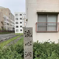 洗心洞跡の写真・動画_image_557545