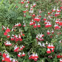 天満橋の写真・動画_image_557563