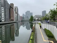 難波橋（ライオン橋）の写真・動画_image_557581